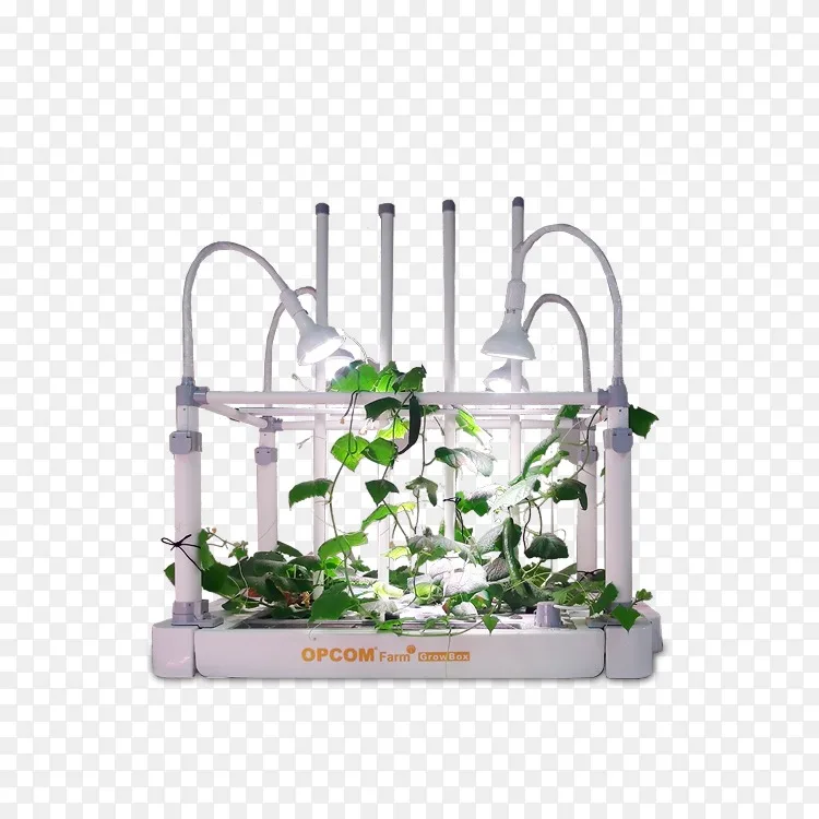 植物 自动水培箱png图片素材免费下载 图片编号 Png素材网