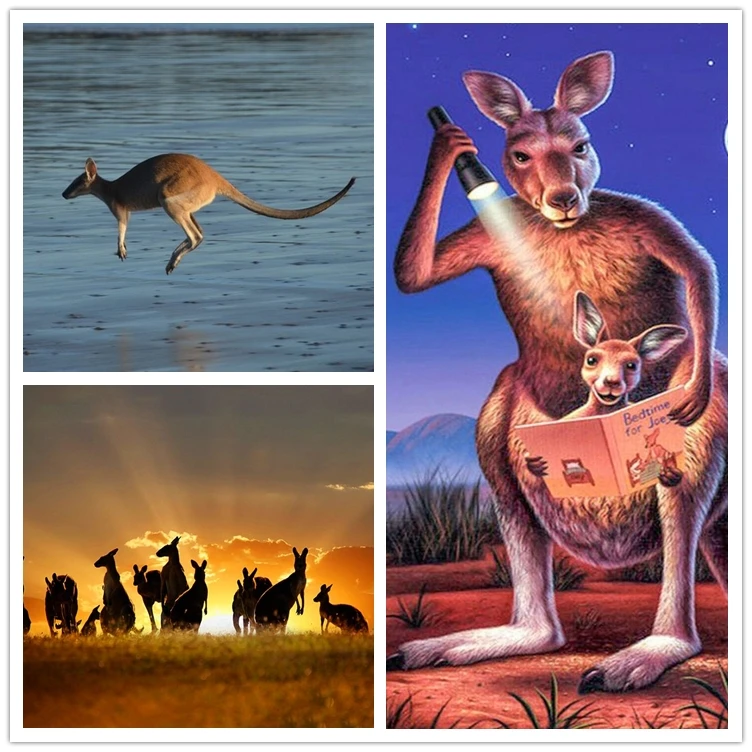 

5D Diamond Paintings Kangaroos Rhinestone Pasted DIY Diamond Painting Cross Stitch Mosaic Needlework Room Decor