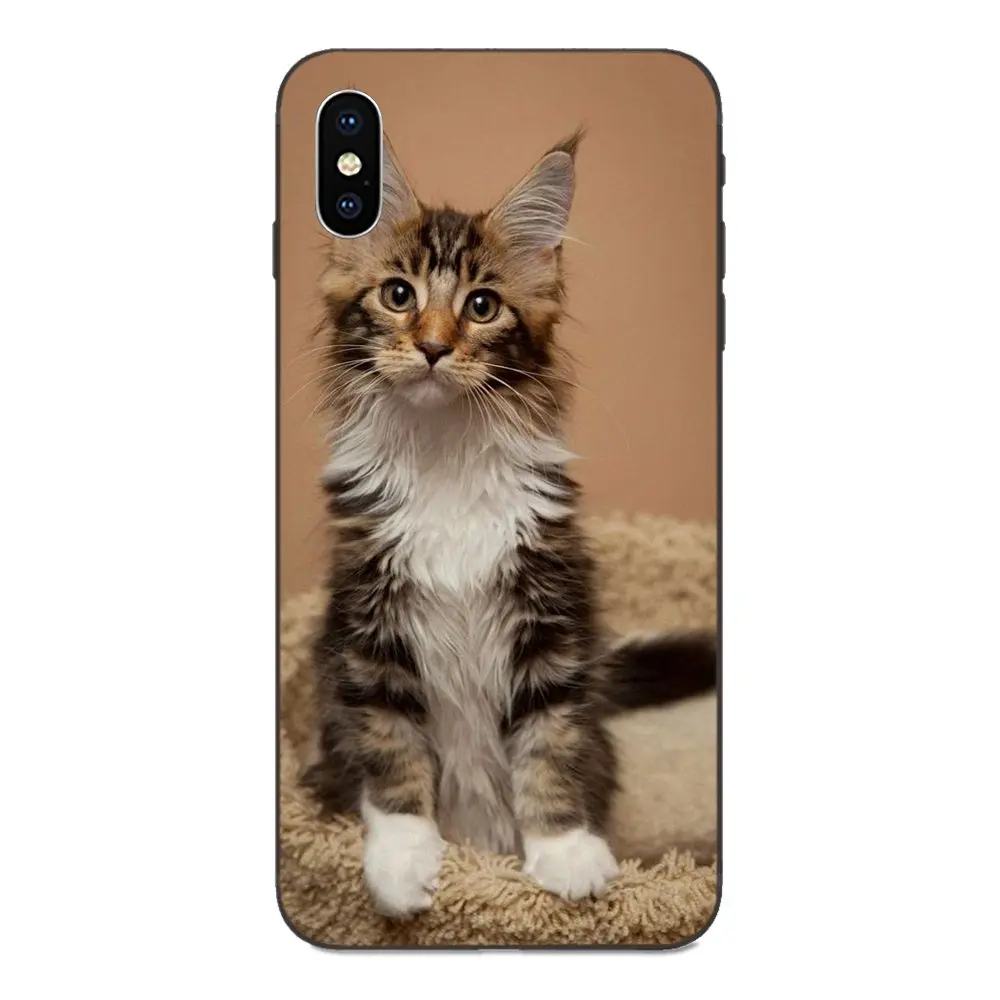 Cat To Be Kitten Me Right Meow Text Cat мягкий TPU узор для Xiaomi Redmi Note 3 3S 4 4A 4X5 5A 6 6A 7 7A K20 Plus Pro S2 Y2 Y3 - Цвет: as picture