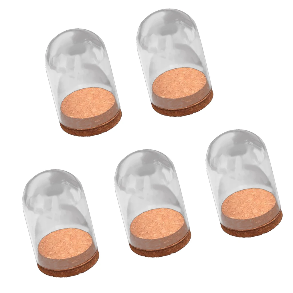 5Pcs  Dome Clear Glas Wooden Cork Base Shade Cover Shield Shelf Display Home Decorations