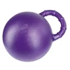 Horse Toy Game Ball With Apple Scent Pet Joy Fun Accessory, Random Color 4