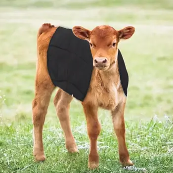 

Oxford Calf Warm Clothes Adjustable Farm Calf Cow Baby Warm Clothes Oxford Fabric Coat Blanket Warm Coat