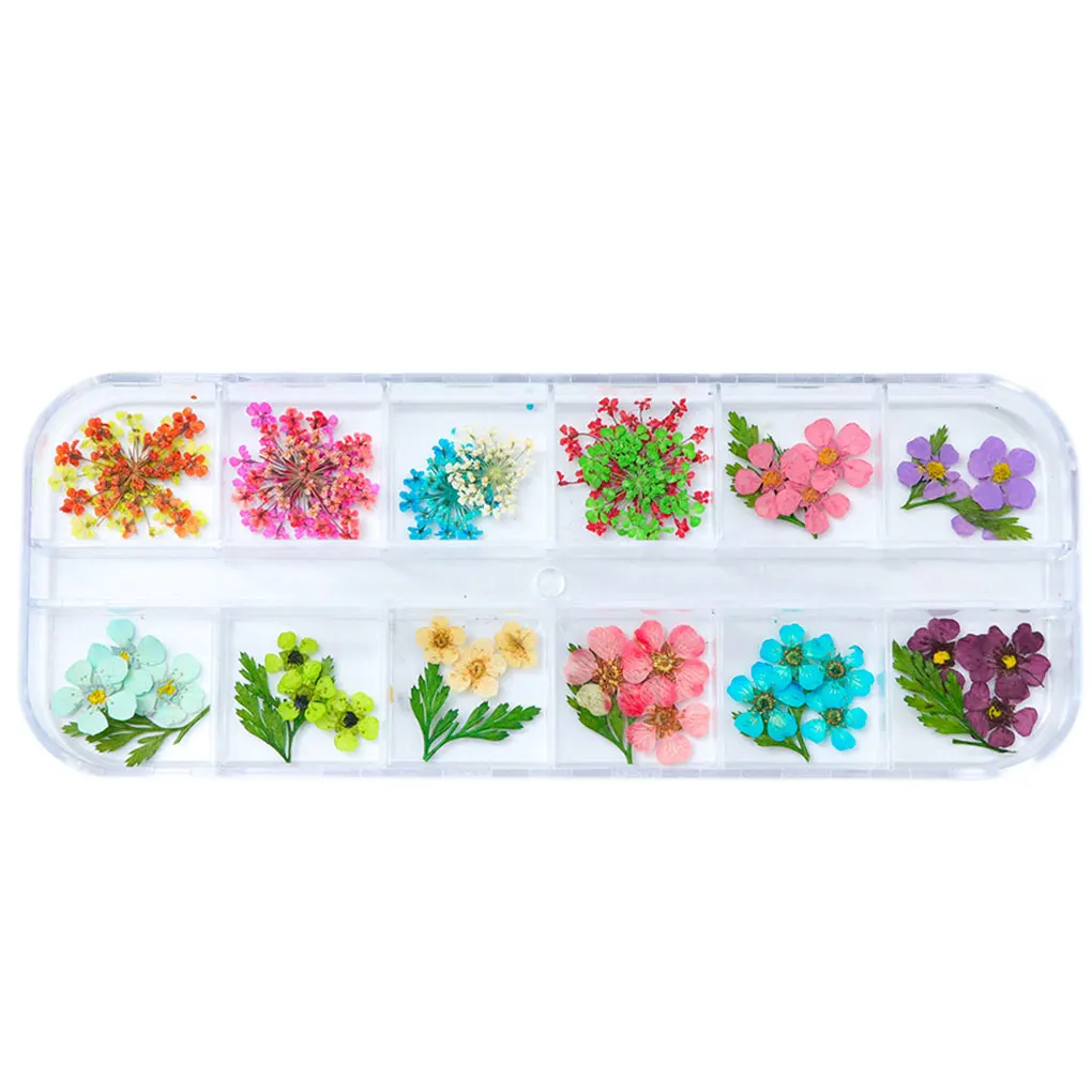12 Grid Dried Flowers Leaf Nail Decoration Natural Floral Sticker Beauty Nail Art Decals 3D DIY UV Gel Polish Manicure Decors