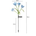 Blue Lily