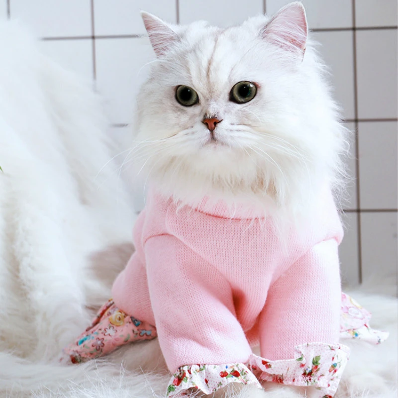 Qoo50qz Robe Coupe Vent Pour Chat Tenue Chaude Pour Le Froid Convient Aux Animaux De Compagnie Aliexpress