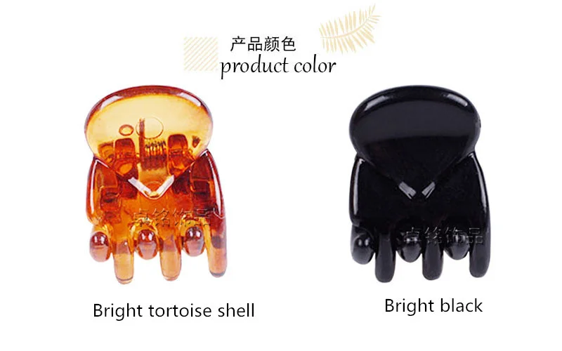 4247620725_1102059261