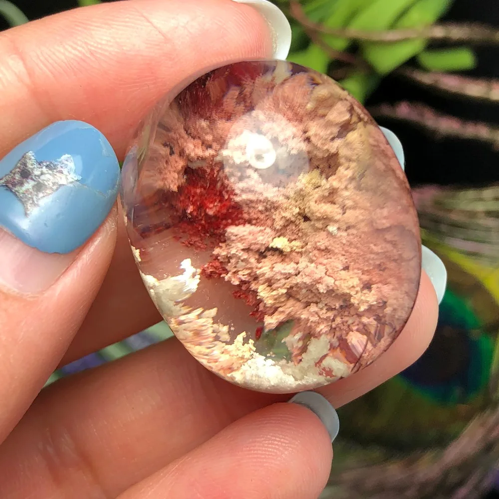 unique!Nature presents the formation of sunset forest, reiki healing beautiful process