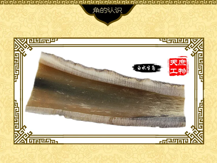 白水牛角截面
