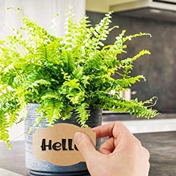 

Roll Writing Assorted Shape Home DIY Self Adhesive Kitchen For Jars Kraft Paper Scrapbooking Present Supplies Label Stickers