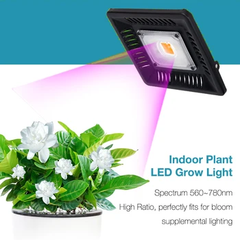 

Vegetables and Bloom Indoor Outdoor Plant Led Grow Light Full Spectrum Ultra-Thin IP67 Flowers Growing Lamp