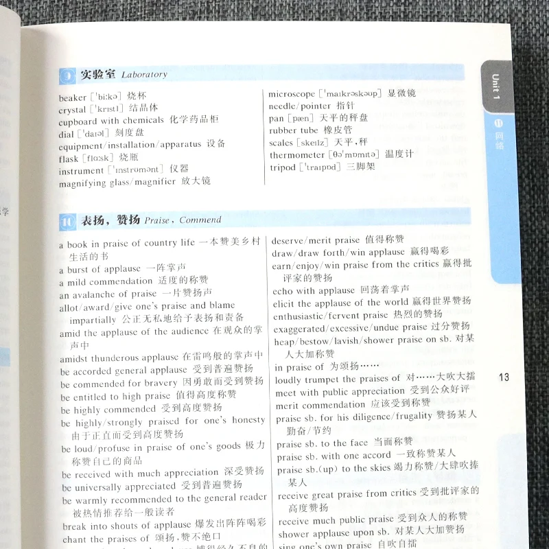 Рисунок 5 - Китайский Английский книжный словарь