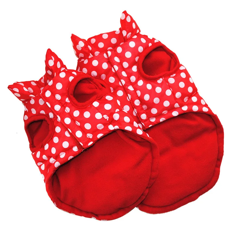 warm dog clothes