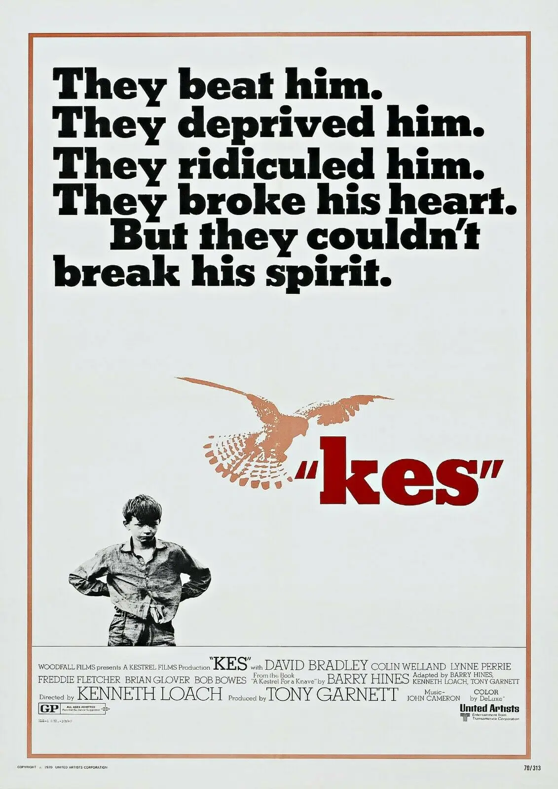 

KES, Винтажный Фильм, Художественная печать, Шелковый плакат, домашний Настенный декор 24x36 дюймов