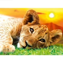 GATYZTORY 5D алмазная живопись полный квадрат DIY домашний декор мозаика Стразы картина логотип на заказ маленький лев греется на солнце