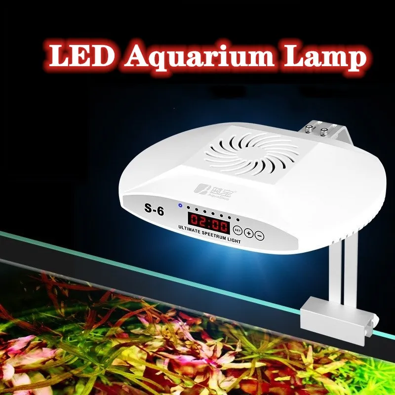  LED  ȣ  , ٴ幰  ,  Ĺ ũ ü Ʈ