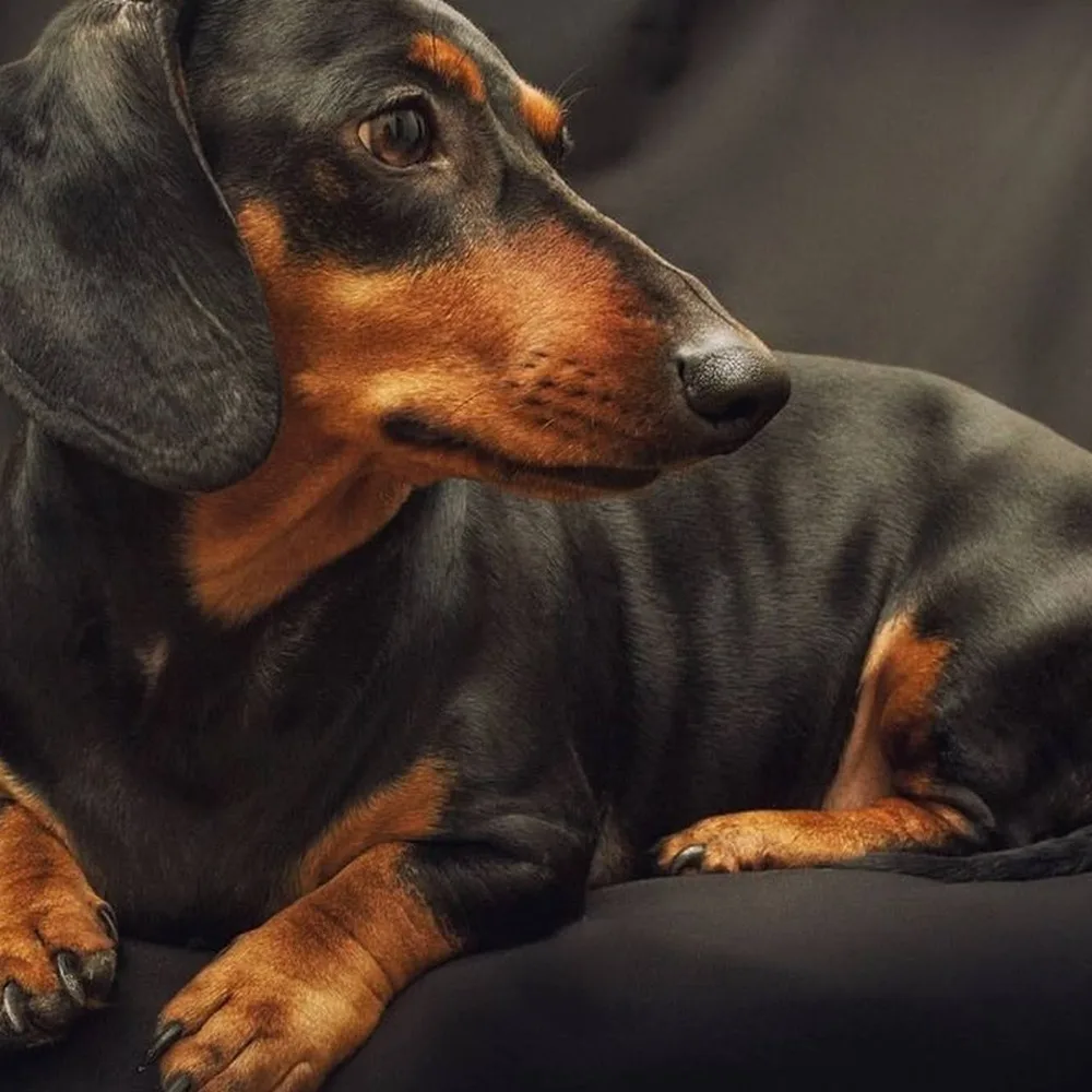 AF1QipOx2YFmEqZW00MkpFXhlZZK9-CB-bbUWTvQScB8=s1280-p-no-v1