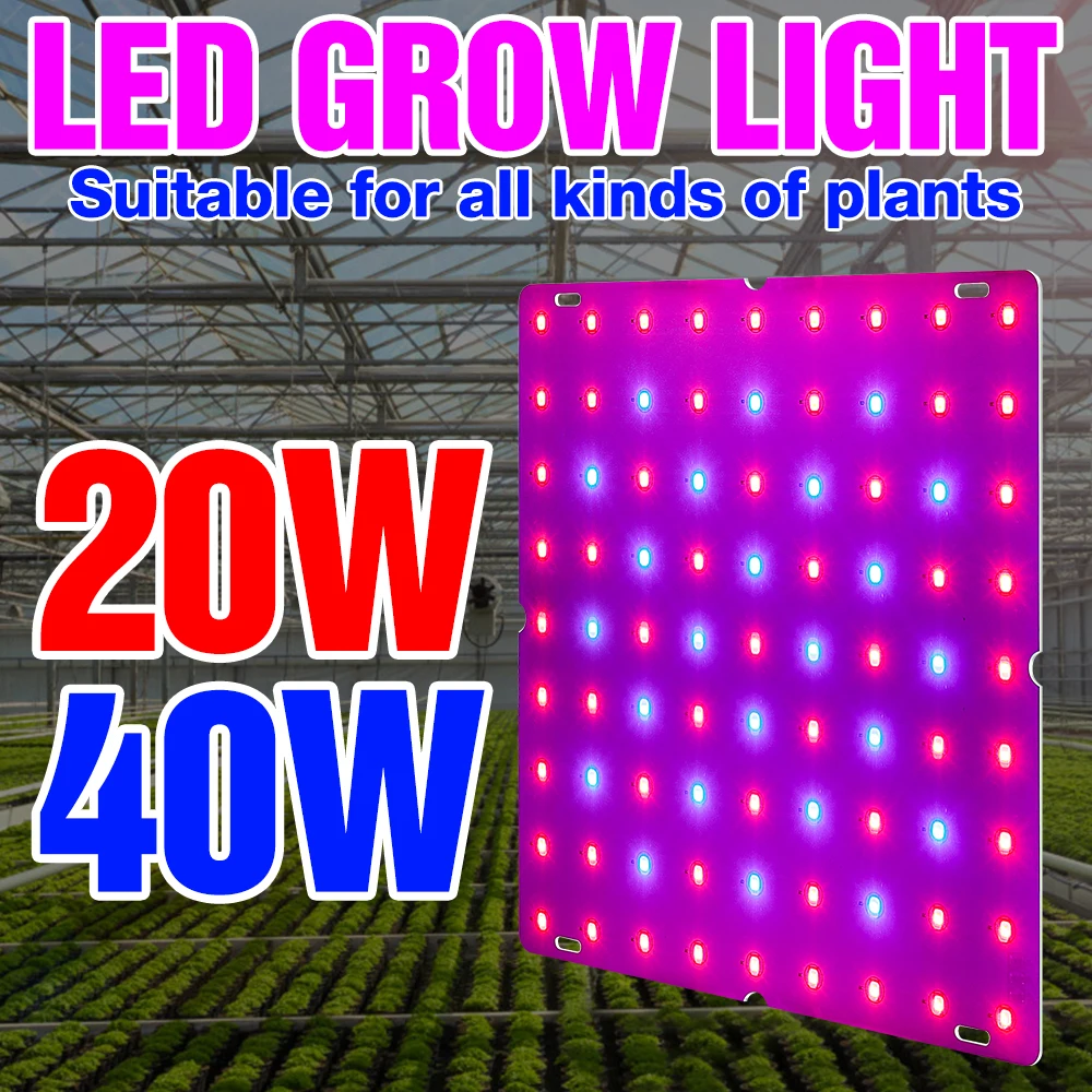 

LED Full Spectrum Phyto Light EU US UK Plug Hydroponics Plant Grow Tent LED Fitolampy 20W 40W Vegetables Flower Growth Tent