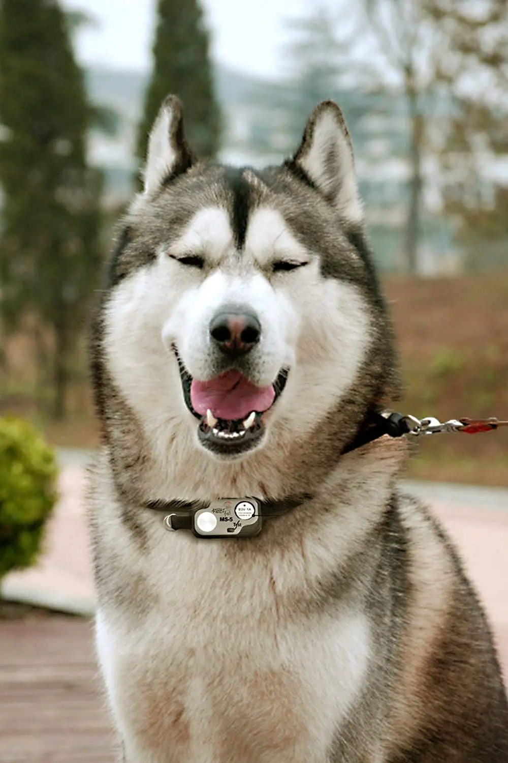 H9760d1e276554d719a2f4b6575a3f933d