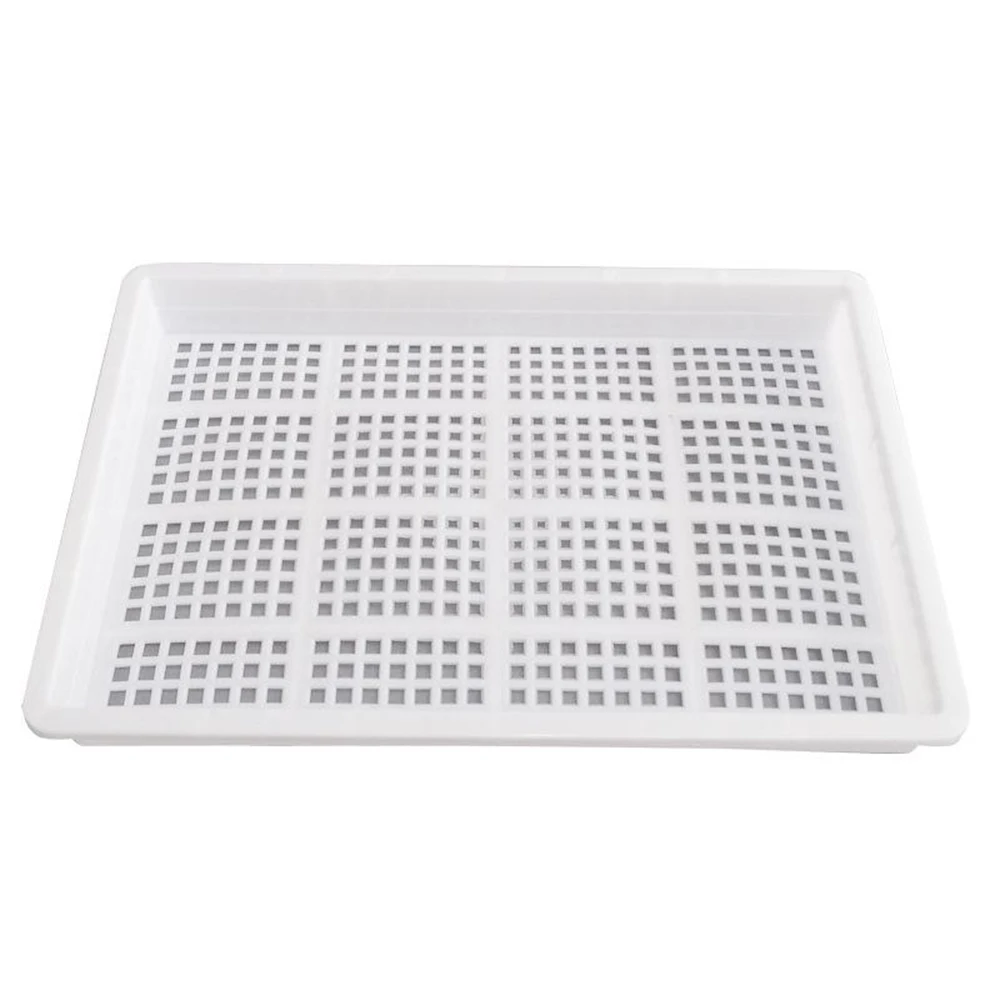 Гидропонная культура воды поднос для рассады растительное оборудование