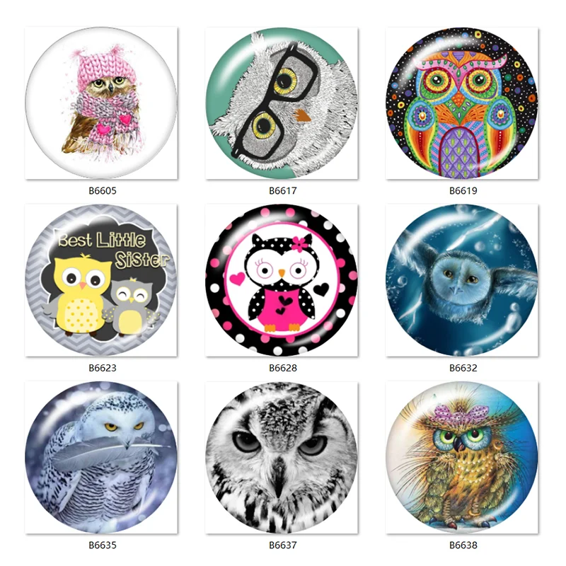 

10pcs mixed owl sister love 12mm/18mm/20mm/25mm Round photo glass cabochon demo flat back Making findings TL480