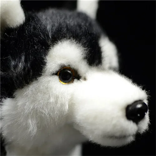 Fancytrader 11'' Fluffy Realistic Simulation Alaskan Malamute Dog Toy Doll Home Decoration Doll for Kids Photograph Prop 28x25cm (6)