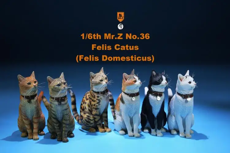 1/6 модель животного из смолы MRZ036 FC001-FC006 модель домашнего кота Felis catus 6 цветов домашнее животное F 1" фигурка солдата