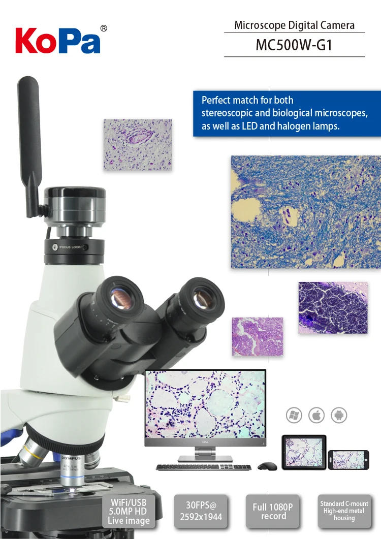 MC500W-G1-英文版01