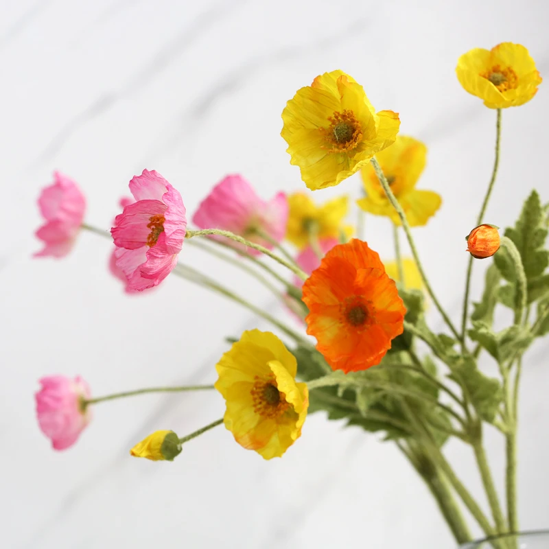 O1CN01yMmb4O2JIKpCyKkT5_!!0-item_pic