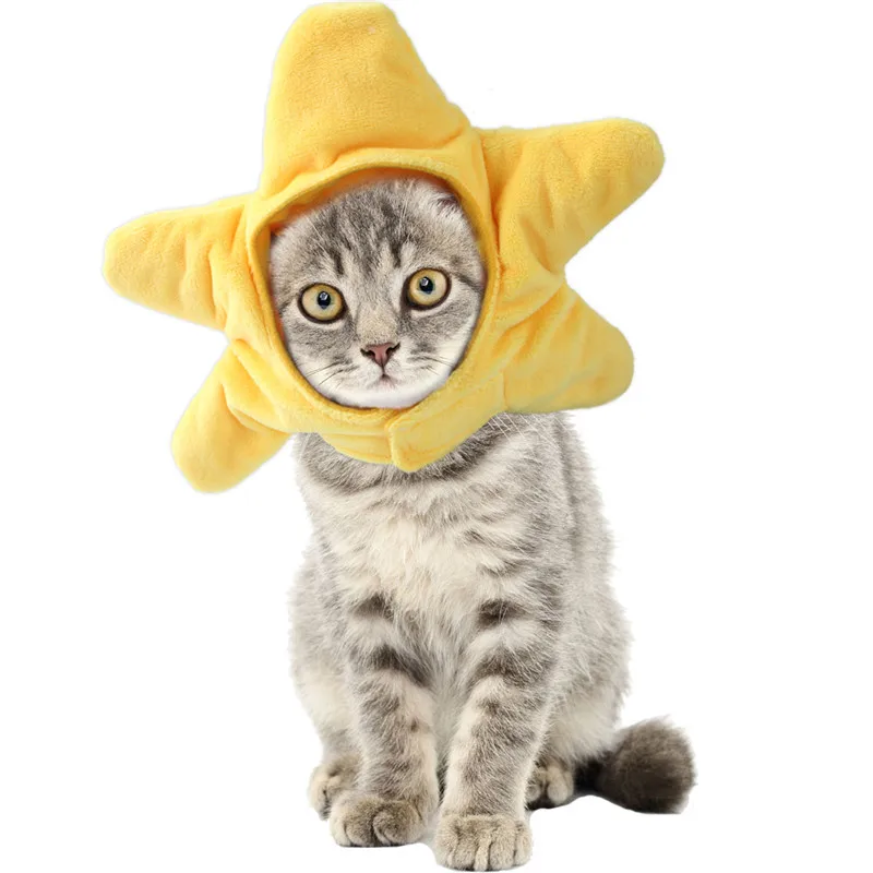 Забавный женский костюм для кошек шапочка костюмы маленьких собак