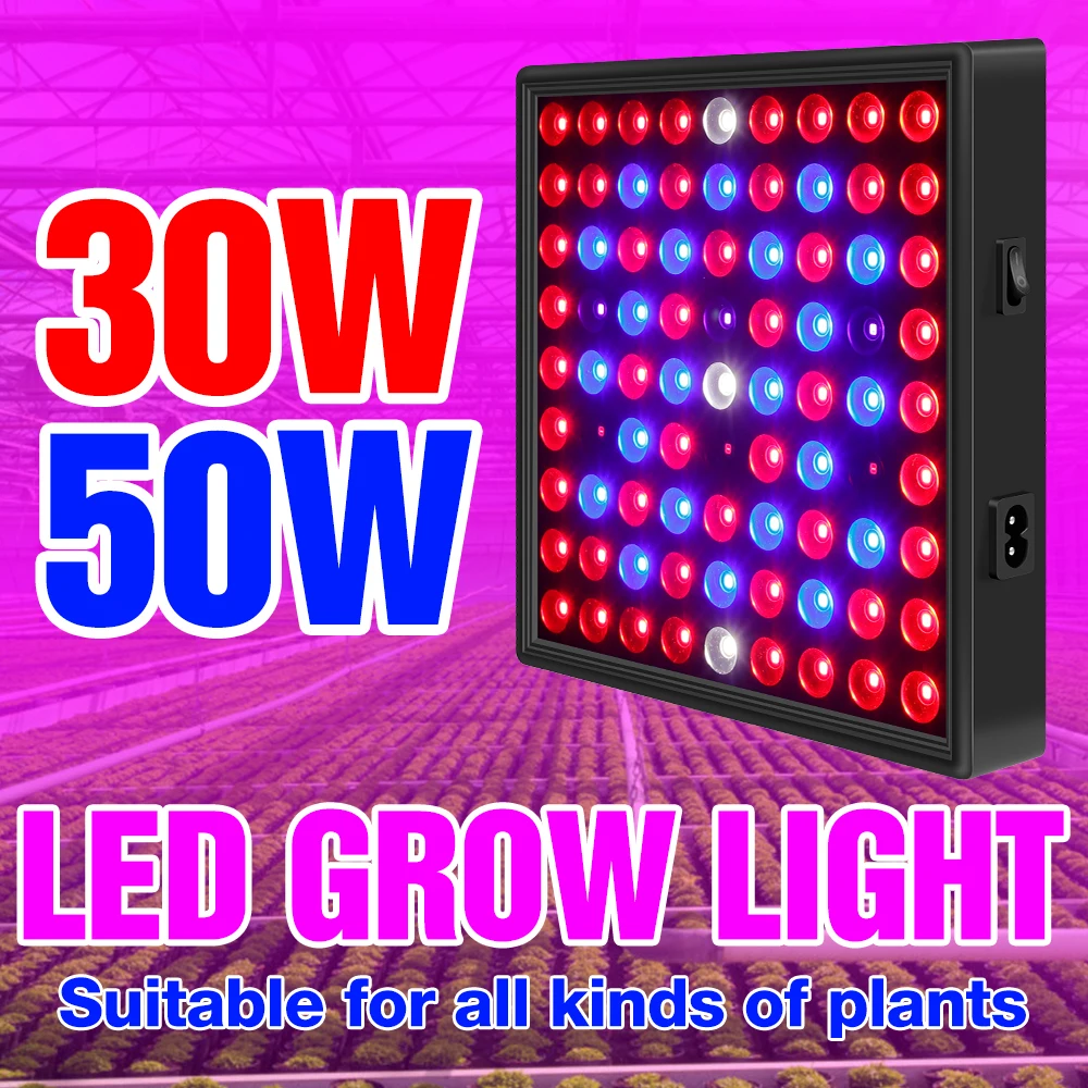 Ue Stati Uniti Regno Unito Spina Verdure Semi Di Phyto Coltiva La Lampada Led Spettro Completo Idroponico Sistema Di Coltivazione Di Luce 30W 50W Pian