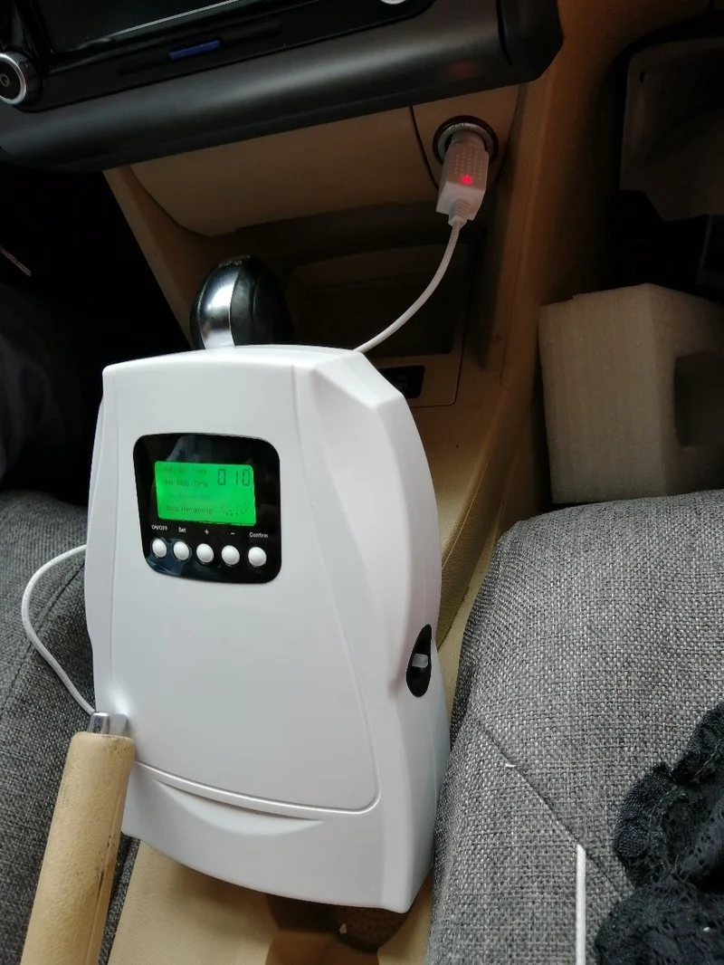 500mg Ozone Generator Air Purifier For home car stlying Fruit and vegetable cleaning Wide voltage100-240V DC12V 500m vegetable fruit cleaner vegetable cleaner
