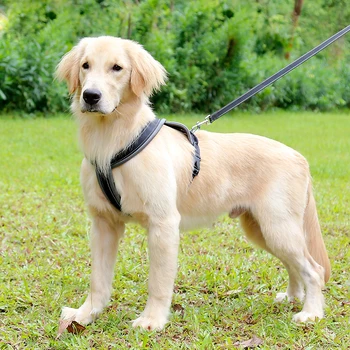 

No-Pull Dog Harness Adjustable Pet Harness Reflective Soft Vest with Metal Ring and home decor gift Comfortable Handle dog leash