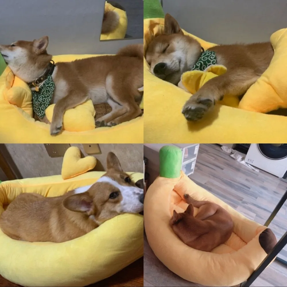 QQ图片20190910141543