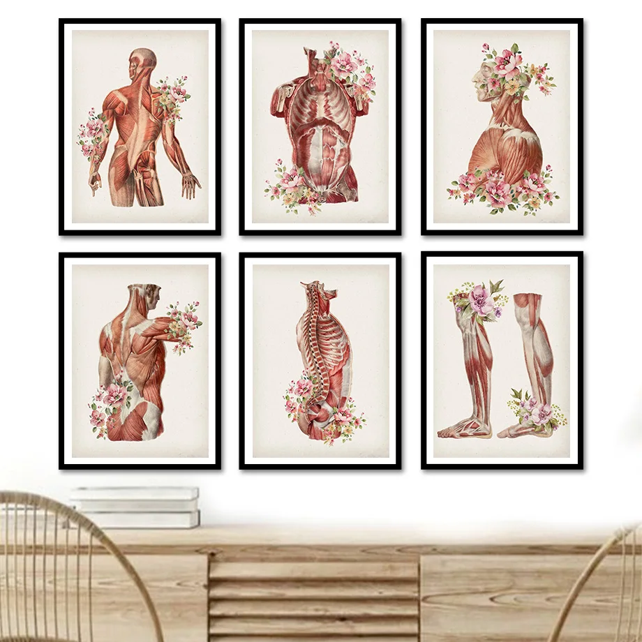 Anatomia Humana – Vintage - Floral H39aec3014de043dba3a0c29761aa4453K