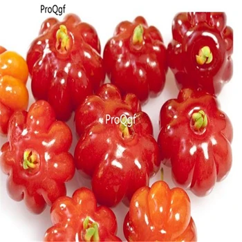 

ProQgf 5000Pcs A Set Brazil hot pepper