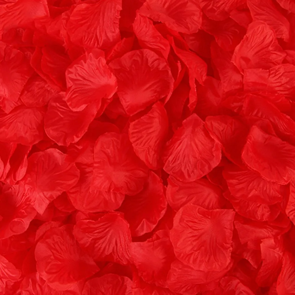 298244_no-logo_298244-2-01