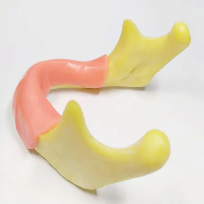 1 шт. Стоматологическая модель для тренировки имплантации зубов с имитацией кости(сверление) Силиконовая мягкая резинка(резка/сшивание) нижняя челюсть