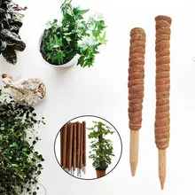 1PC Plant Climbing Pole Coir Moss Stick Coir Moss Palm Vines Stick Plant Support Extension Climbing Indoor Plants Creepers