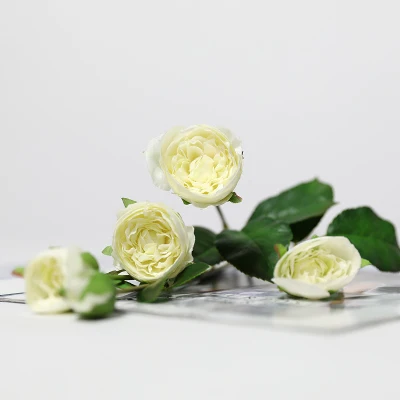 white Xuanxiaotong, 5 головок, красная искусственная Роза, цветение, Шелковый цветок, Флорес, с листьями, бутоны для свадьбы, праздничные, вечерние, для украшения дома - Цвет: white