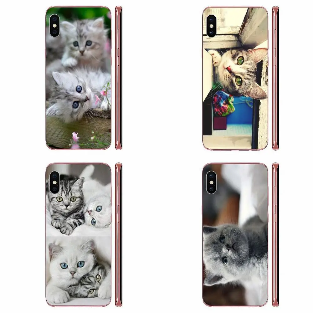 Камера с серой кошкой и Zenit для Huawei Honor 5C 5X 6A 6X 7 7A 7X 8 8A 8S 8X 9 10 30 Lite Pro Y6 II Y7 Y9 Prime новинка