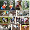 Ropa cálida para perros pequeños abrigo para perros a prueba de viento, chaqueta de invierno, ropa acolchada, atuendo con chaleco ropa para Chihuahua y yorkshire ► Foto 3/6