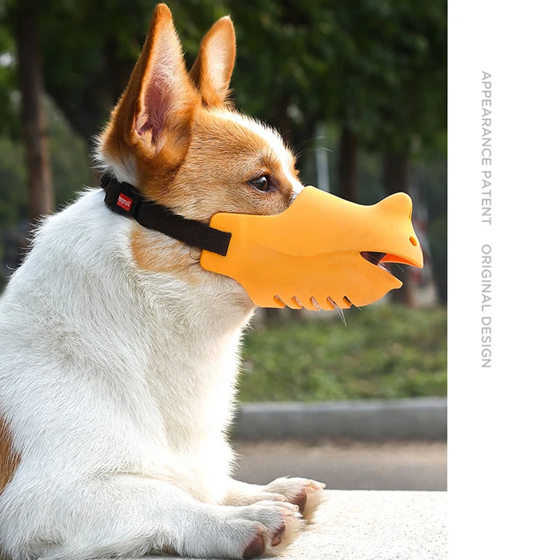 Dog Bite Dogs That Have To Wear Muzzles Намордник Для Собак Pet - Main Image