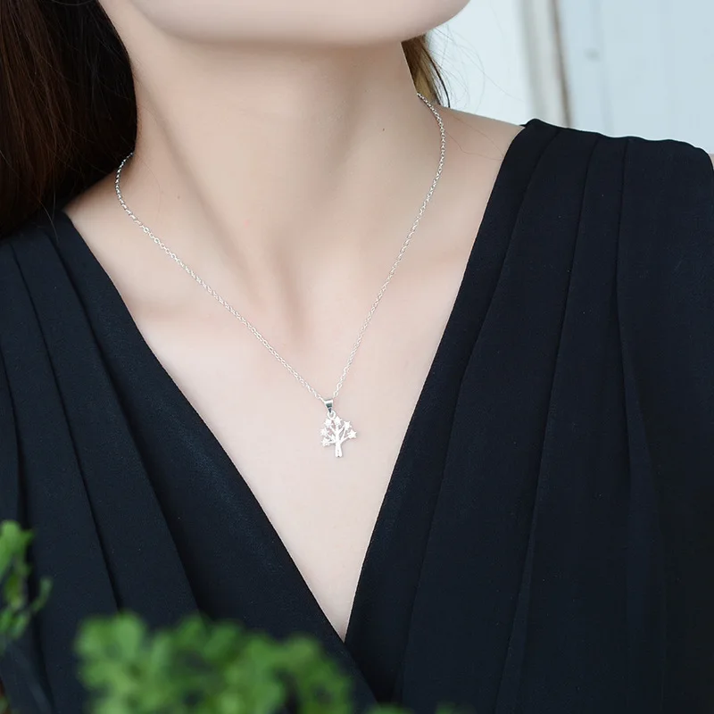 4274042426_1033353162