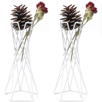 

Air Plant Stand Holder Tillandsia,Tabletop Metal Air Plant Display Racks Containers for Hanging Tillandsia House Plants