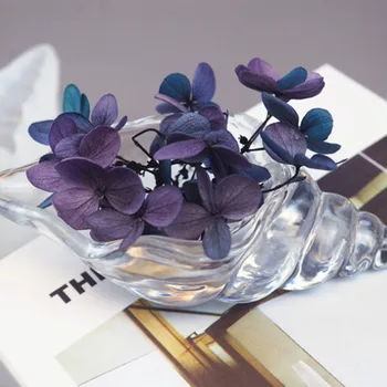 

DIY Conch Shell Resin Mold Epoxy Mirror Three-dimensional Conch Makeup Egg Storage Shell Marine Silicone Mold