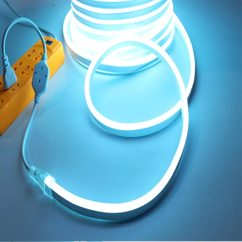 LED Neon light AC220V strip RGB With IR controllerPower Plug Neon Sign Colorful Rainbow Led Light free ship christmas Decration|LED Strips| - AliExpress