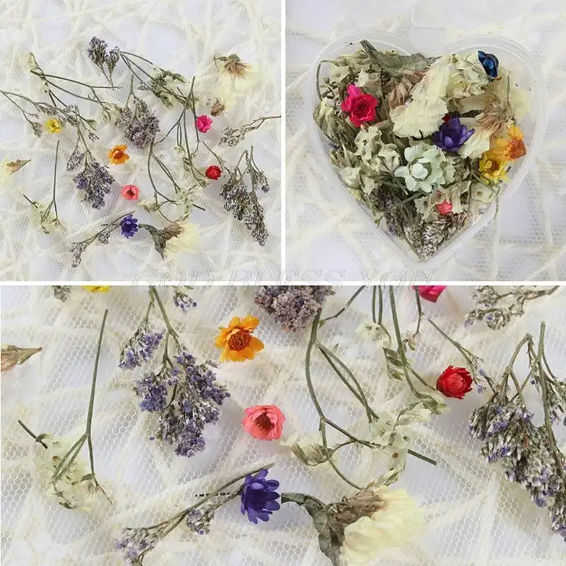 12 ピース セット人工花ホルダー花の泡オアシス花束花束ホルダー結婚式のブライダルフラワー Diy 花ホーム装飾 造花 ドライフラワー Aliexpress