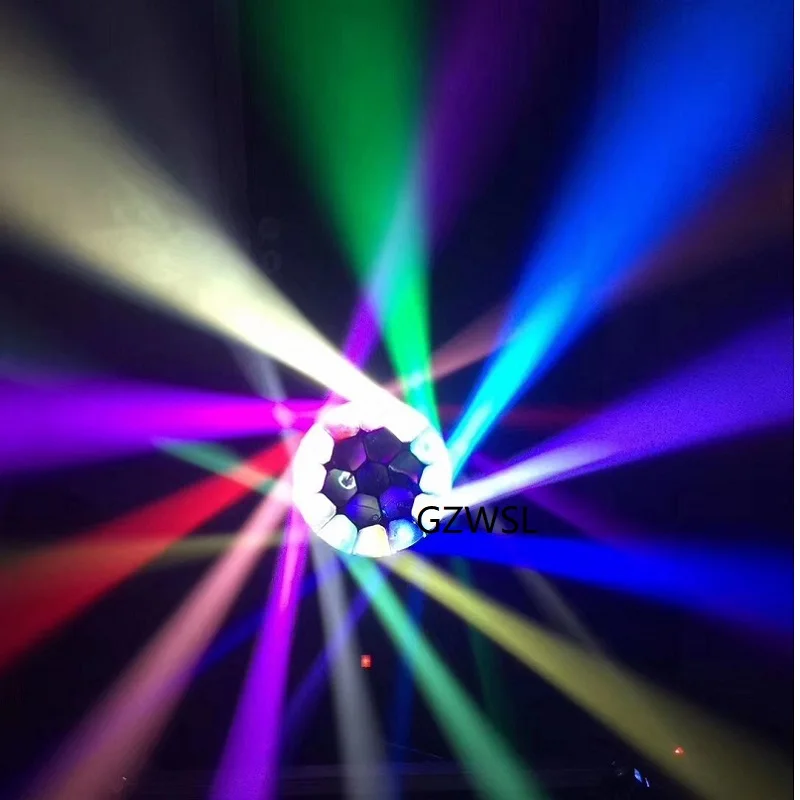 bee eye moving head  (3)