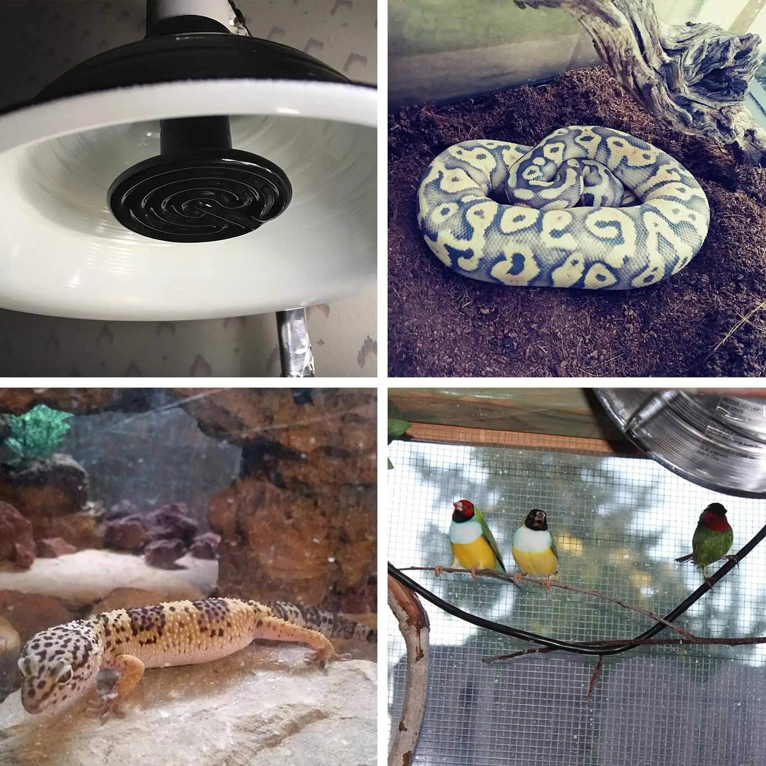 Infrared Ceramic Heat Lamp Reptile Emitter Bulb for Pet Coop Heater Chicken Lizard Turtle Brooder Aquarium Snake No Harm