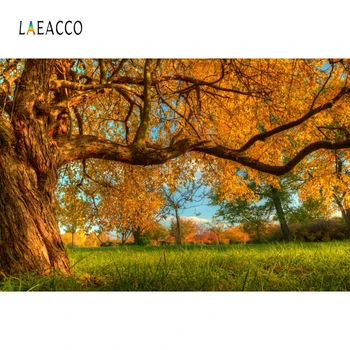 

Laeacco Stout Poplar Tree Blue Sky White Clouds Green Grass Photography Background Photo Studio Photography Background